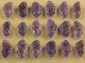 天然水晶 精品紫黄水晶貔貅吊坠 紫晶貔貅挂坠 37-54号 招财旺运